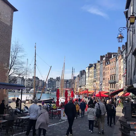 Cosy Place Sainte Catherine 아파트